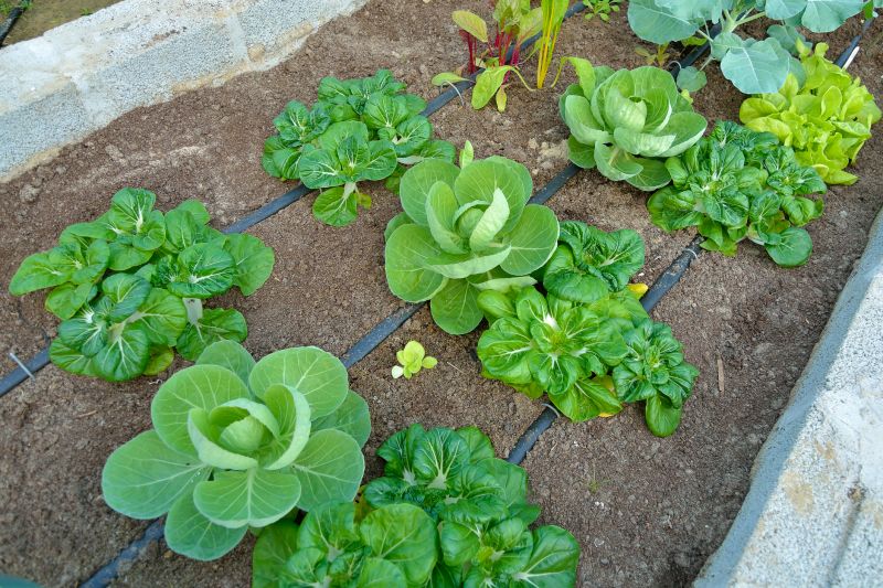 Subsurface Drainage Solutions